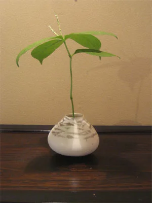 Ikebana y tokonoma