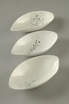 Big Dishes